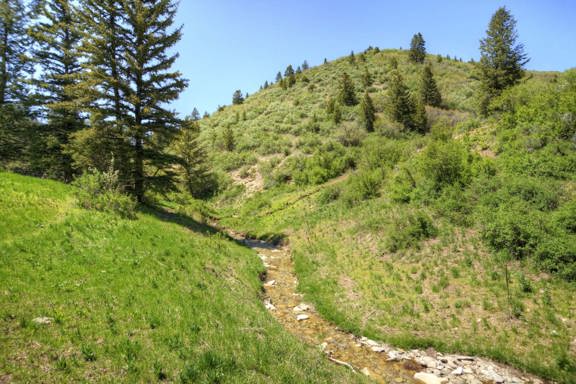 Timber Valley Ranch