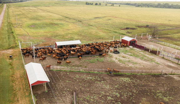 Pickett Ranch