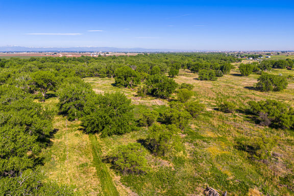 South Platte 60