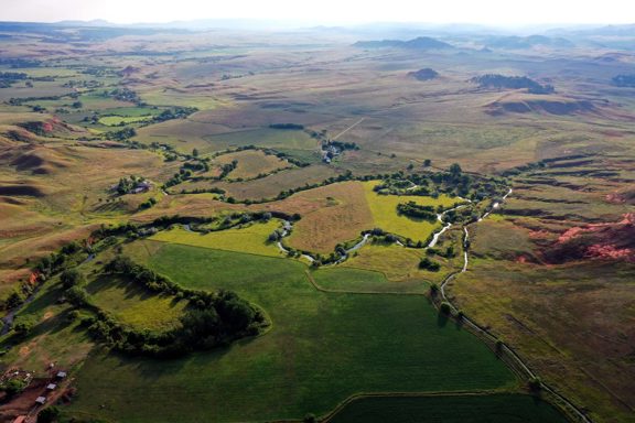 T Diamond Ranch