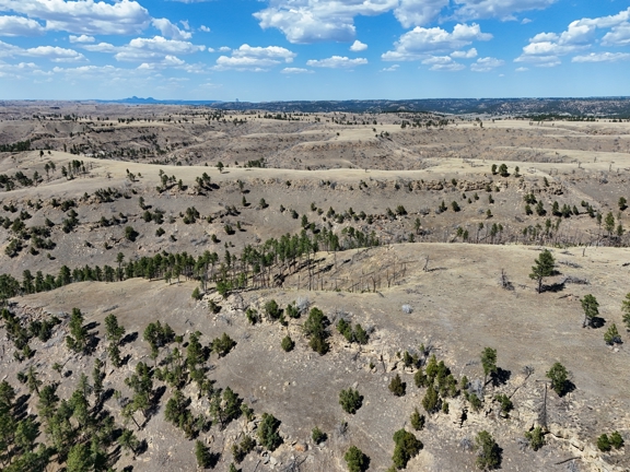 Tower Lookout Ranch