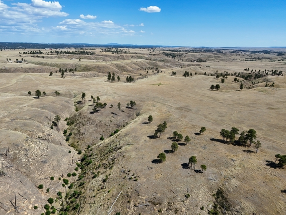 Tower Lookout Ranch