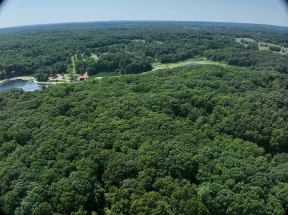 Rochester Road – 80 Acres