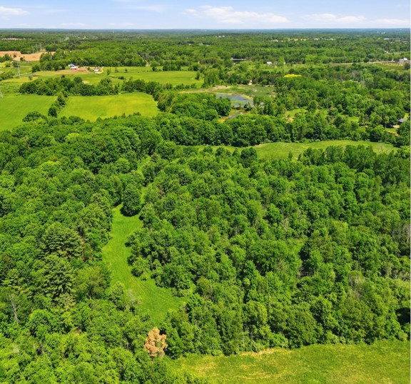 Oakland County – 85 Acres