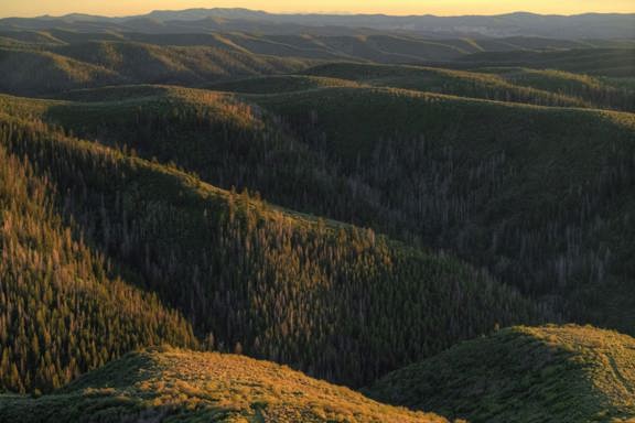Cow Creek Ranch