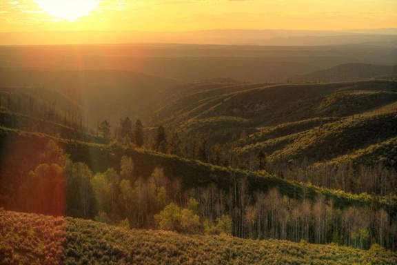 Cow Creek Ranch