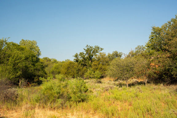Turnaround Ranch