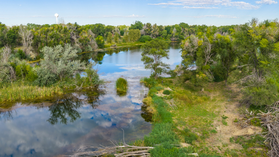 Pintail Properties
