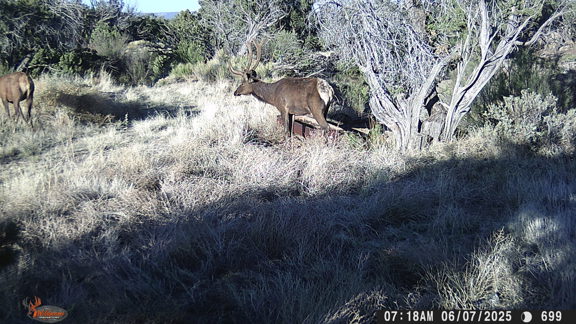 A Lazy A Ranch
