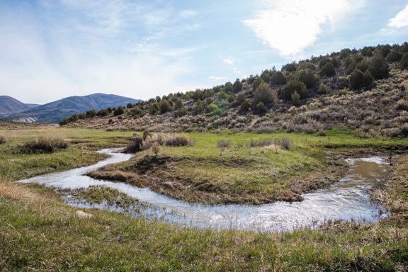 40 Mile Mountain Ranch – Piceance Creek Unit