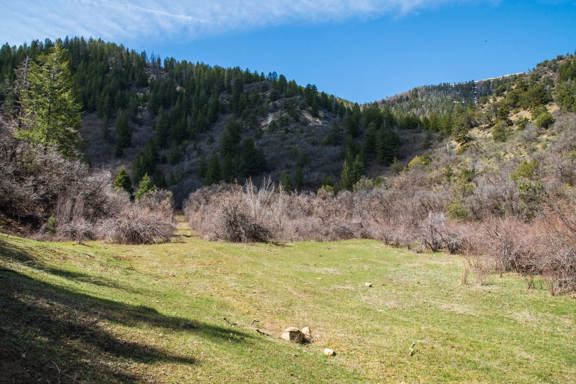 40 Mile Mountain Ranch-Government Creek Unit