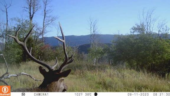 40 Mile Mountain Ranch-Government Creek Unit