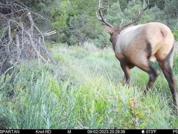 40 Mile Mountain Ranch -Timber Valley Unit