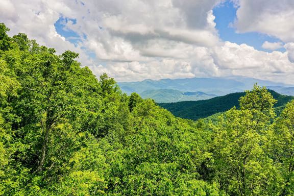 East Fork Mountaintop