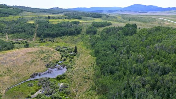 Wayan Creek Ranch