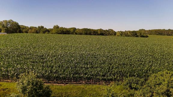 Kelley Family Farm