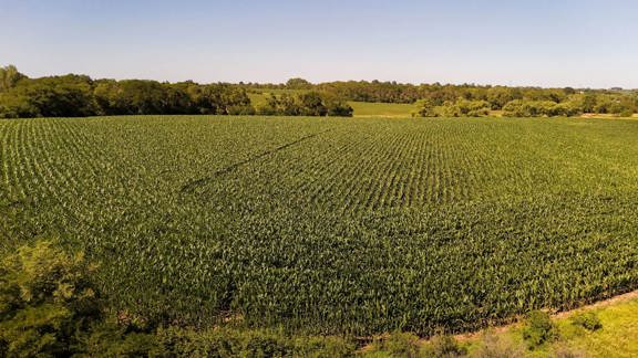 Kelley Family Farm