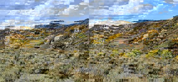 Springer Ranch