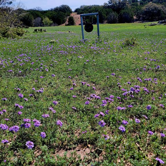 Rocky Creek Hill Country Ranch North