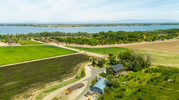 Lake Shore Farm