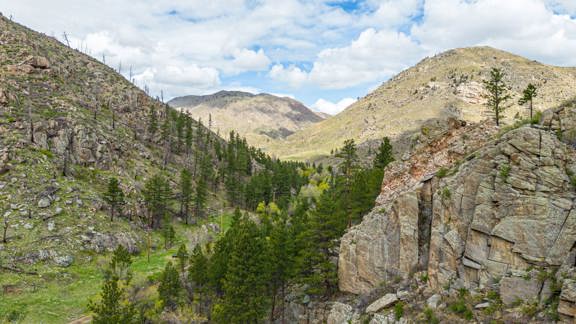 Columbine Acres Poudre Canyon