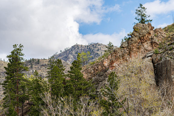 Columbine Acres Poudre Canyon