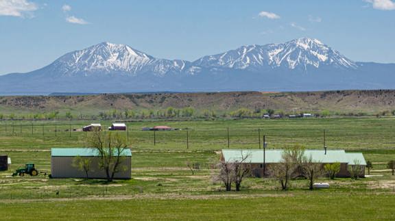 ACR Land and Cattle