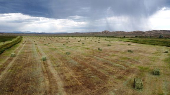 Winding S Ranch