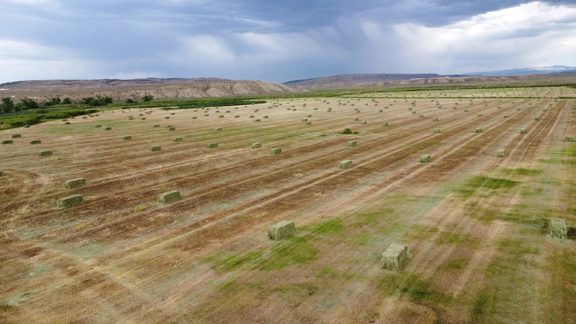 Winding S Ranch