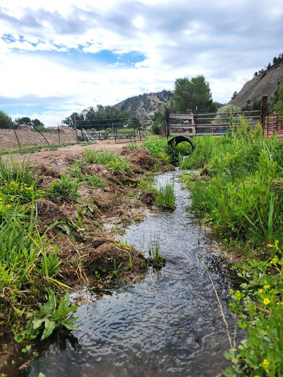 Seago Development Ranch