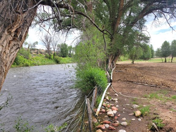 Seago Development Ranch