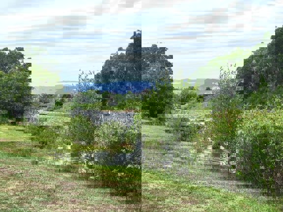 Seago Development Ranch