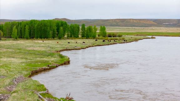 Thunder Water Ranch