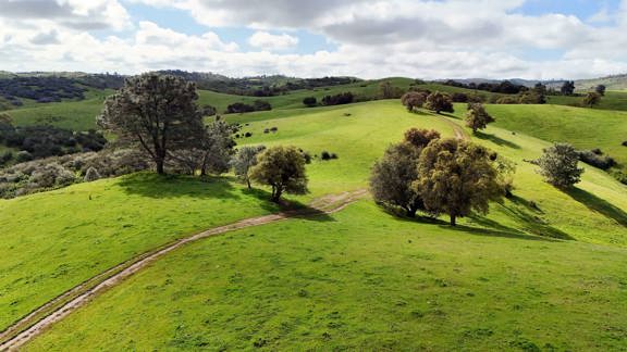 Calaveras Rafter P Ranch