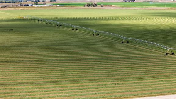 Sheep Creek Farm and Hunt