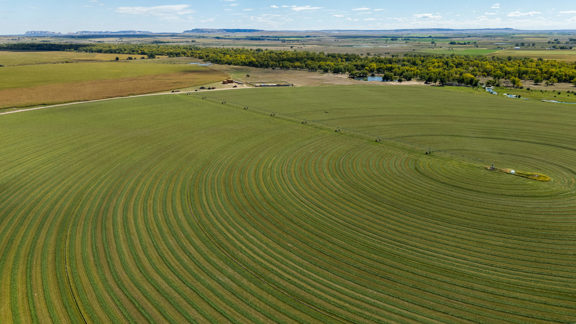 Sheep Creek Farm and Hunt