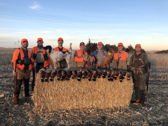 Hayes County Upland and CRP