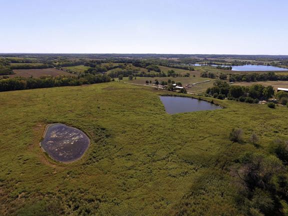 Oak Meadow Oasis