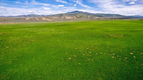 Willow Creek Ranch Colorado