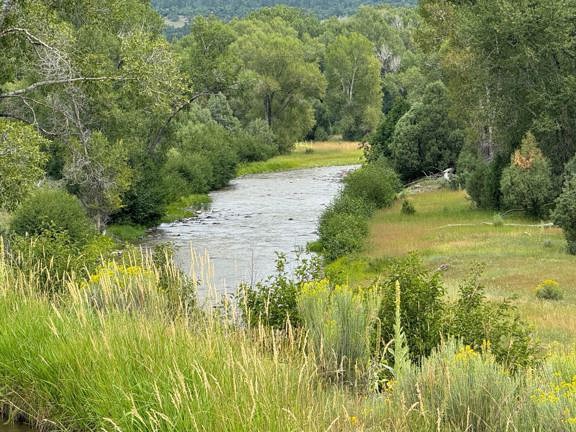 Burns Family Farm and Ranch on the Chama River