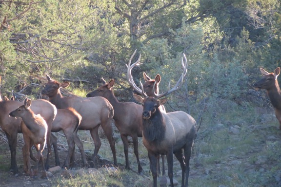 Tobe Creek Mesa Ranch