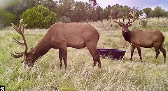 Tobe Creek Mesa Ranch