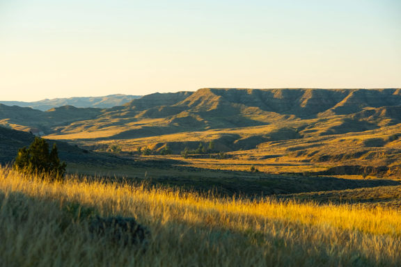 Powder River Hunting Ranch