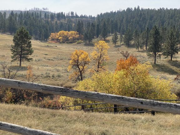 Cook Mountain Hunting Camp