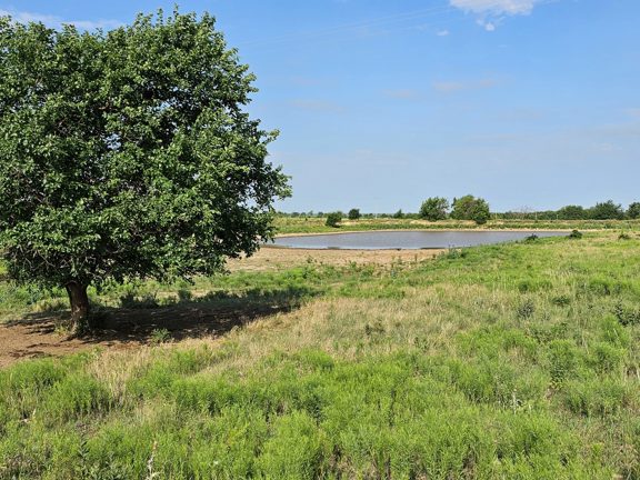 Butler County Development Pasture