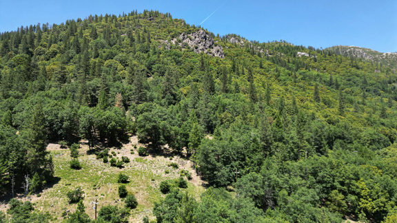 Sierra Buttes Vista