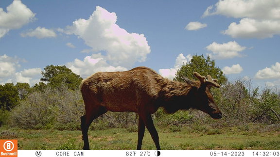 Split Trail Ranch