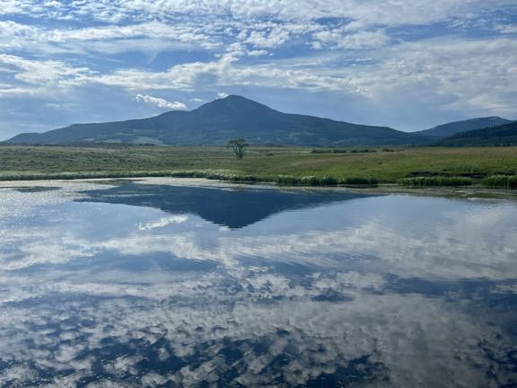 Beaver Mesa Livestock &  Elk Ranch