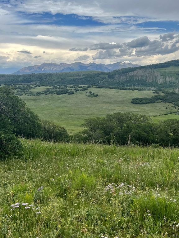 Beaver Mesa Livestock &  Elk Ranch