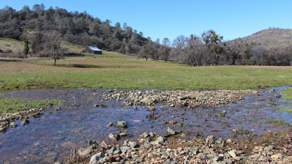 Marshes Flat Ranch